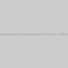 Image of Recombinant Haemophilus Influenzae upp Protein (aa 1-208) (strain PittEE)